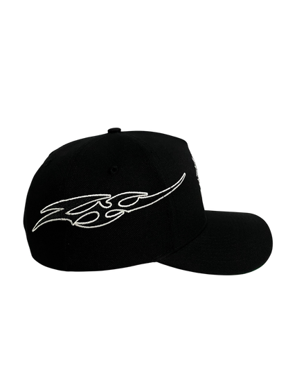hawaii warrior$