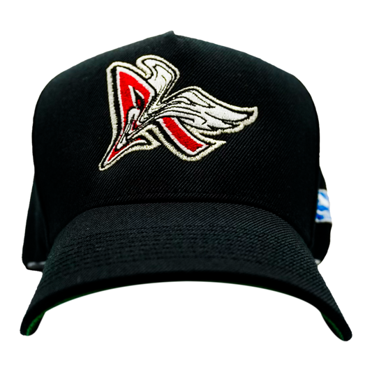 warp angel$ • blk